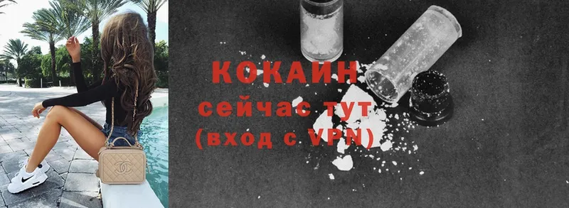 где найти наркотики  Ковдор  Cocaine Fish Scale 