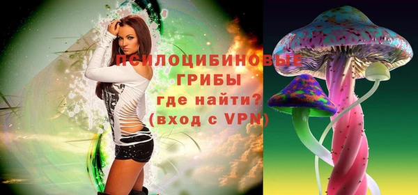 эйфоретик Богданович